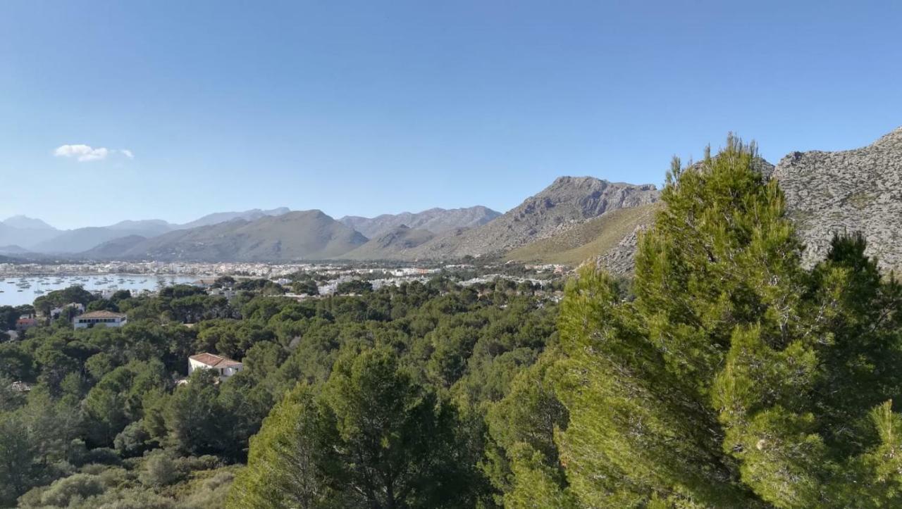 Apartament Dalia Port de Pollença Zewnętrze zdjęcie