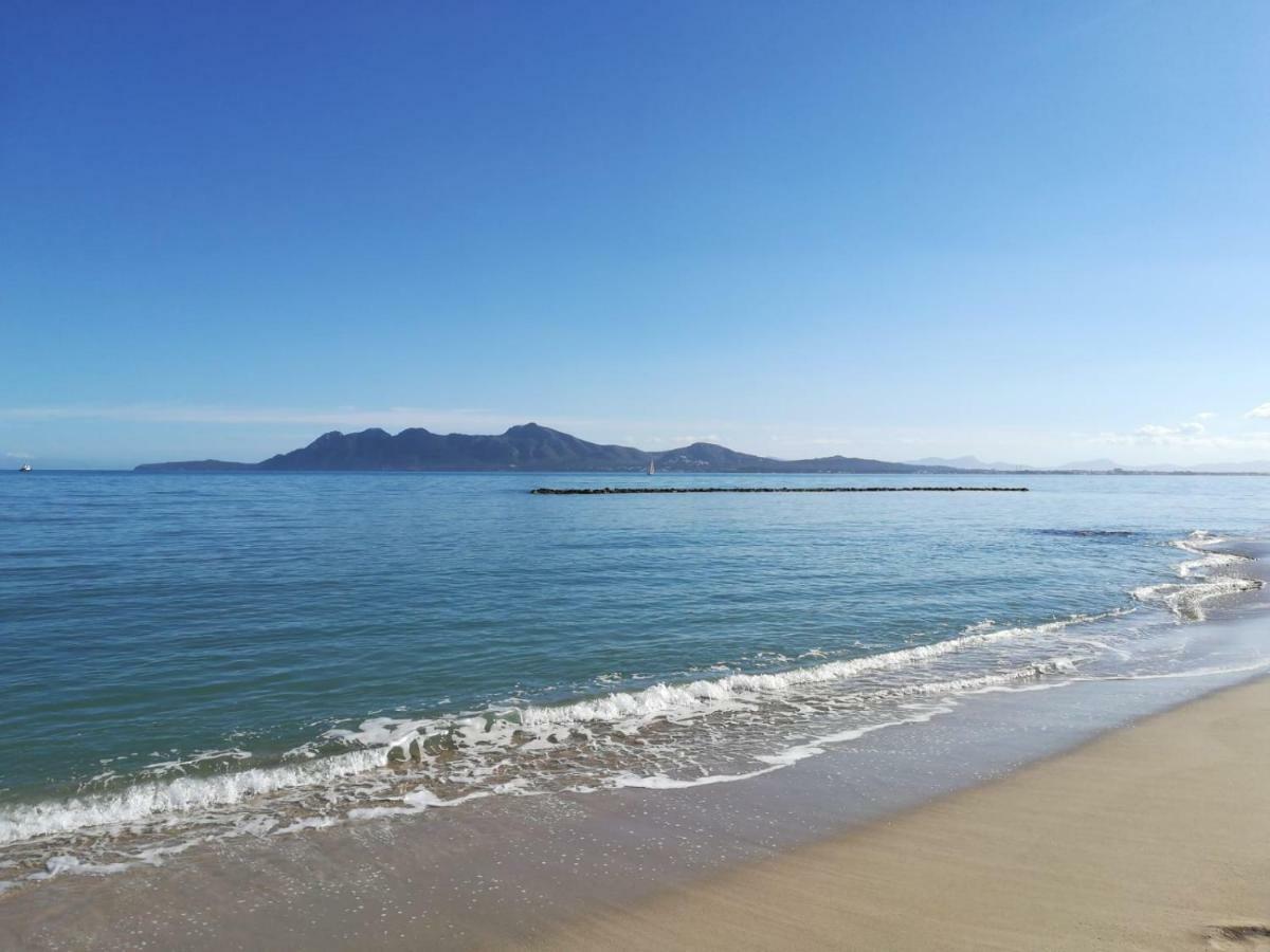 Apartament Dalia Port de Pollença Zewnętrze zdjęcie